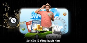 Soi cầu lô rồng bạch kim