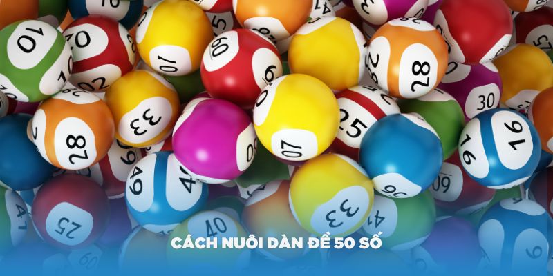 Cách nuôi dàn đề 50 số